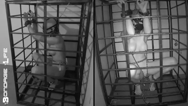 Poster: Bondage Life: More Storage Time For Greyhound (Release date: Aug. 24, 2021) Bondage