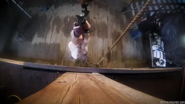 Poster: NothingTenderizedSideOfMeatconverted